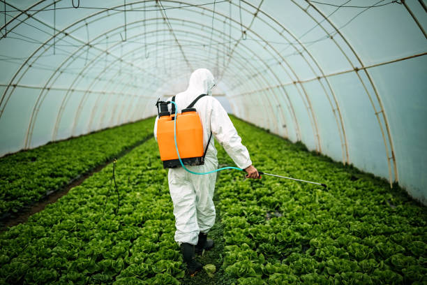 Best Exterminator Services  in Rathdrum, ID