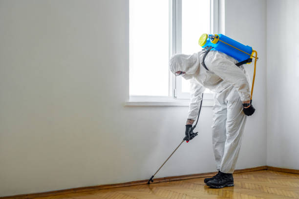 Best Pest Removal Services  in Rathdrum, ID