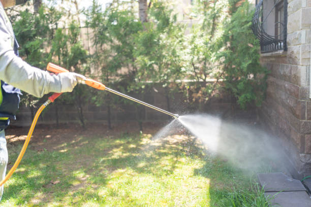 Trusted Rathdrum, ID Pest Control Experts