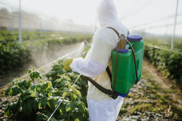 Best Best Pest Control Companies  in Rathdrum, ID